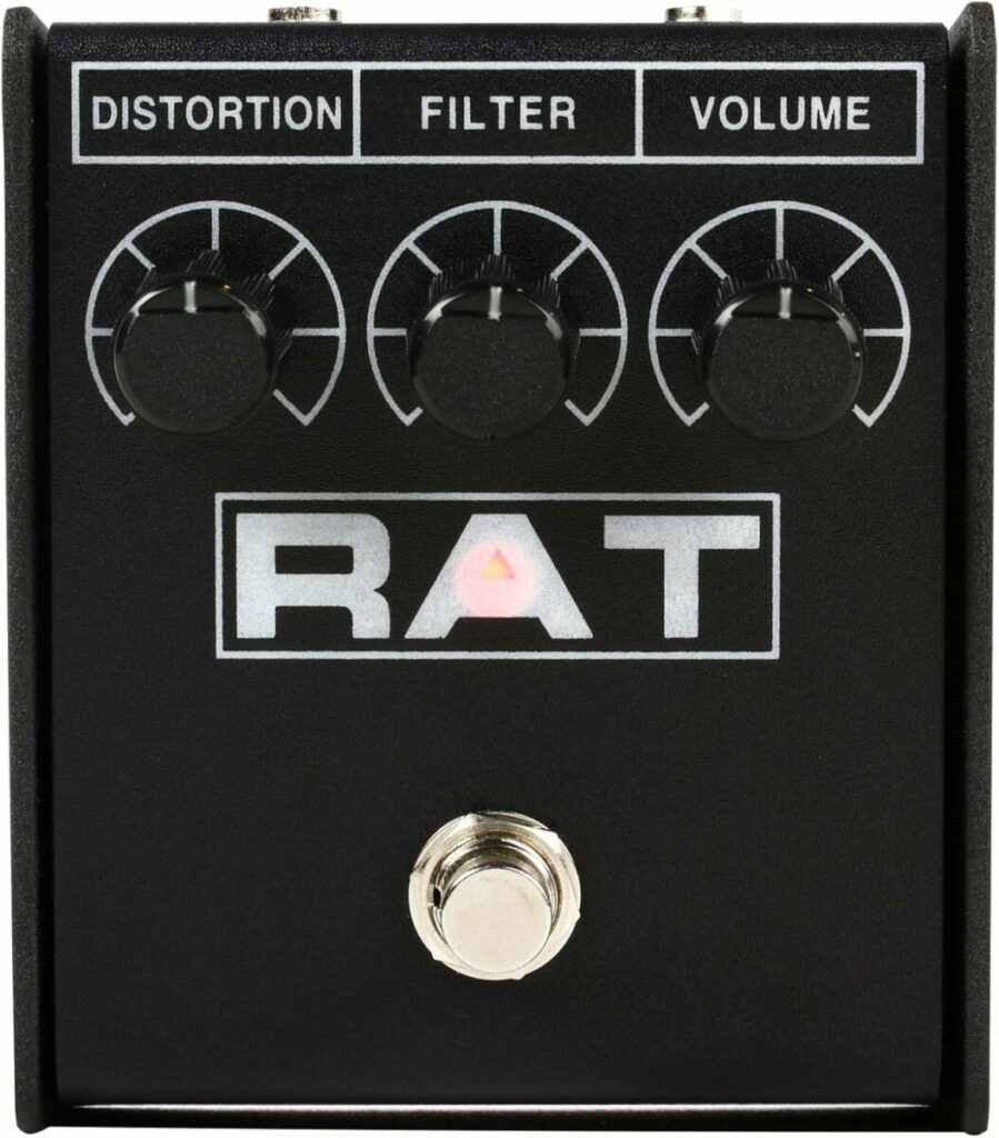 rat